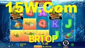 BRTOP,brtop.com